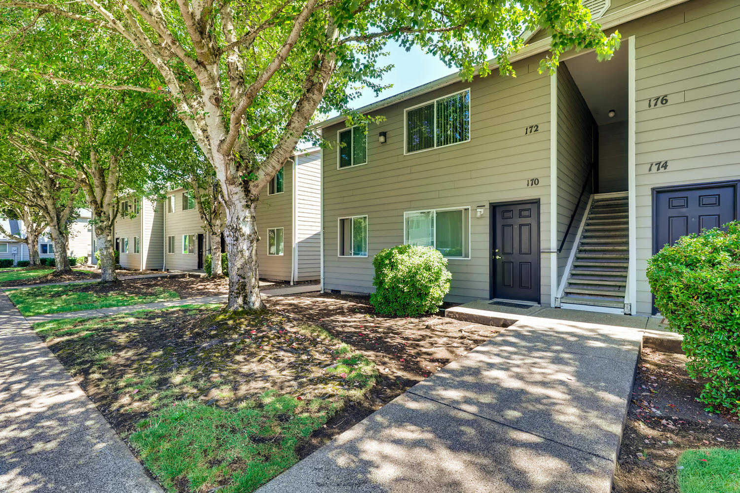 Building exterior with large shady trees and sidewalks